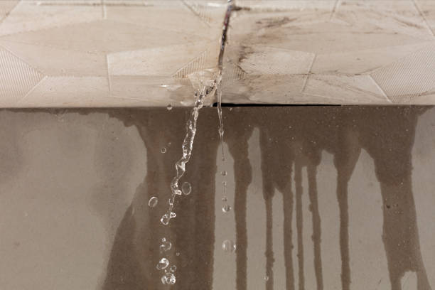 Professional Structural Drying technician working in Irondale, MO